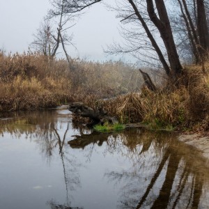 Река ноября
